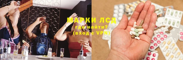 хмурый Аркадак