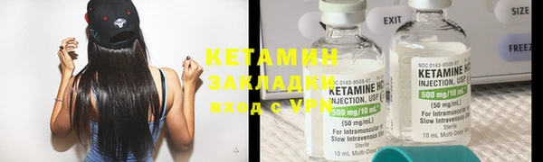 хмурый Аркадак
