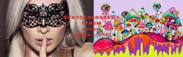 спайс Алексеевка