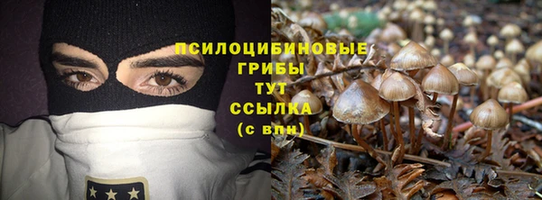 кокс Алзамай