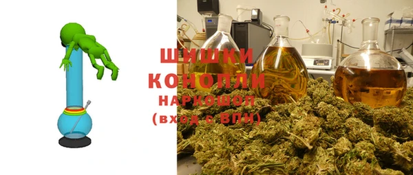 хмурый Аркадак