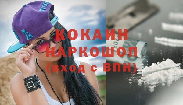 хмурый Аркадак